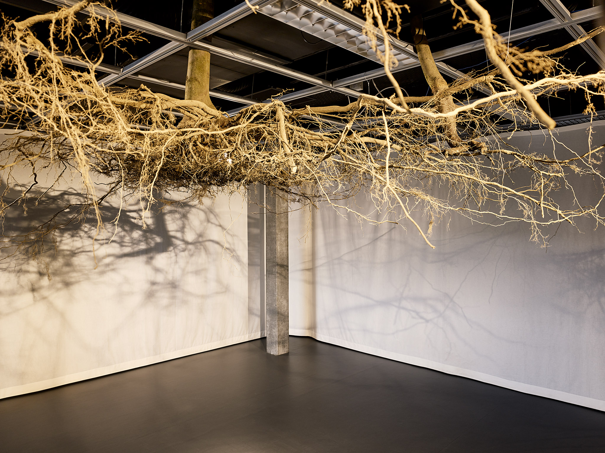 LIVE MATTER - Design Vegetal